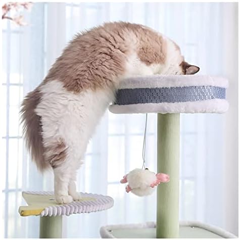 NİNGLİU Kedi Tırmanma Çerçeve Kedi Tırmanma Çerçeve Kedi Ağacı Büyük Kedi Kulesi için Büyük Kediler Kedi Kumu Kedi Ağacı Bir