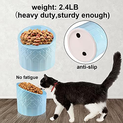 SLixuhay Seramik Eğimli Yükseltilmiş Kedi Kase, Kapalı Kediler için Sağlam Pet Gıda Kase, Gerginlik Ücretsiz Pet Besleme Kase