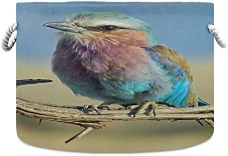 xigua Çok Renkli Kuş Yuvarlak Depolama Sepeti Çöküşü Tuval Kumaş Depolama Bin Düzenlemek için Kolları ile Ev/Mutfak/Çocuk Oyuncak/Ofis