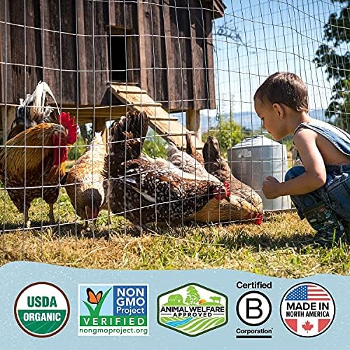 Çizik ve Gagalama Yemleri Tavuklar ve Ördekler için Doğal Olarak Serbest Katmanlı Organik Tavuk Yemi-Besleyici Olarak Eksiksiz