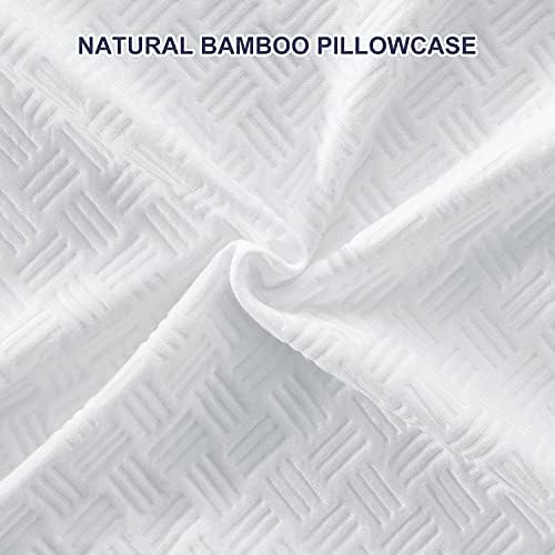 BedStory Rendelenmiş Bellek Köpük Yatak Yastık Kraliçe Boyutu 1 Paket - Yıkanabilir Bambu Kapaklı Uyku için Sağlam Yastık-Premium
