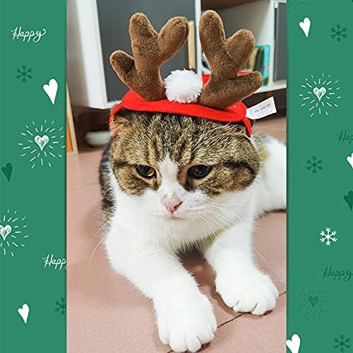 PETLESO Kedi Santa Şapka ile Eşarp-Noel Kostüm Seti Yavru Köpek Kedi Santa Şapka