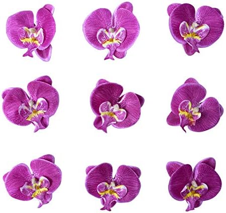 HOKPA Yapay Ipek Phalaenopsis Çiçek Başları, Sahte Kelebek Orkide Düğün Çiçek Buketi Dekor DIY Craft Yapımı ıçin Gelin Duş Fotoğraf