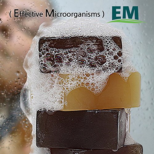 [El Yapımı Doğal EM (Etkili Mikroorganizma) Teknolojisi ve Bitki Bar Sabunu ] Dr. Benjamin EM Kömür Banyo Sabunu, 4.4 oz