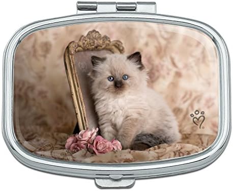 Ragdoll Tiffany kedi yavrusu Victoria gül dikdörtgen hap durumda biblo hediye kutusu